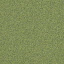 Ковровая плитка Interface Biosfera Boucle 7889 Smeraldo  | FLOORDEALER